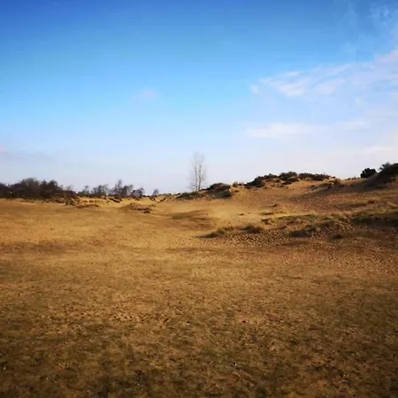 Apartamento In Belgium Near Coastal Charm