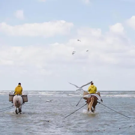 Appartement In Belgium Near Coastal Charm Oostduinkerke