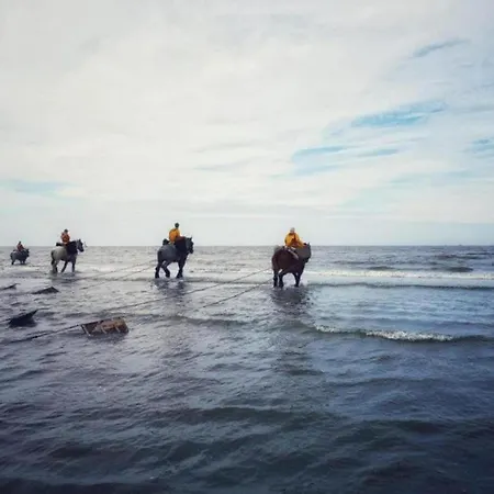 In Belgium Near Coastal Charm