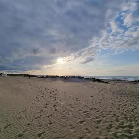 In Belgium Near Coastal Charm *