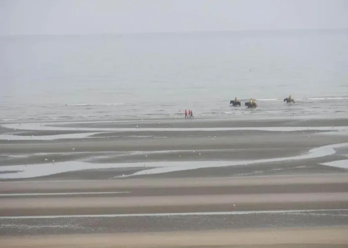 Apartament In Belgium Near Coastal Charm